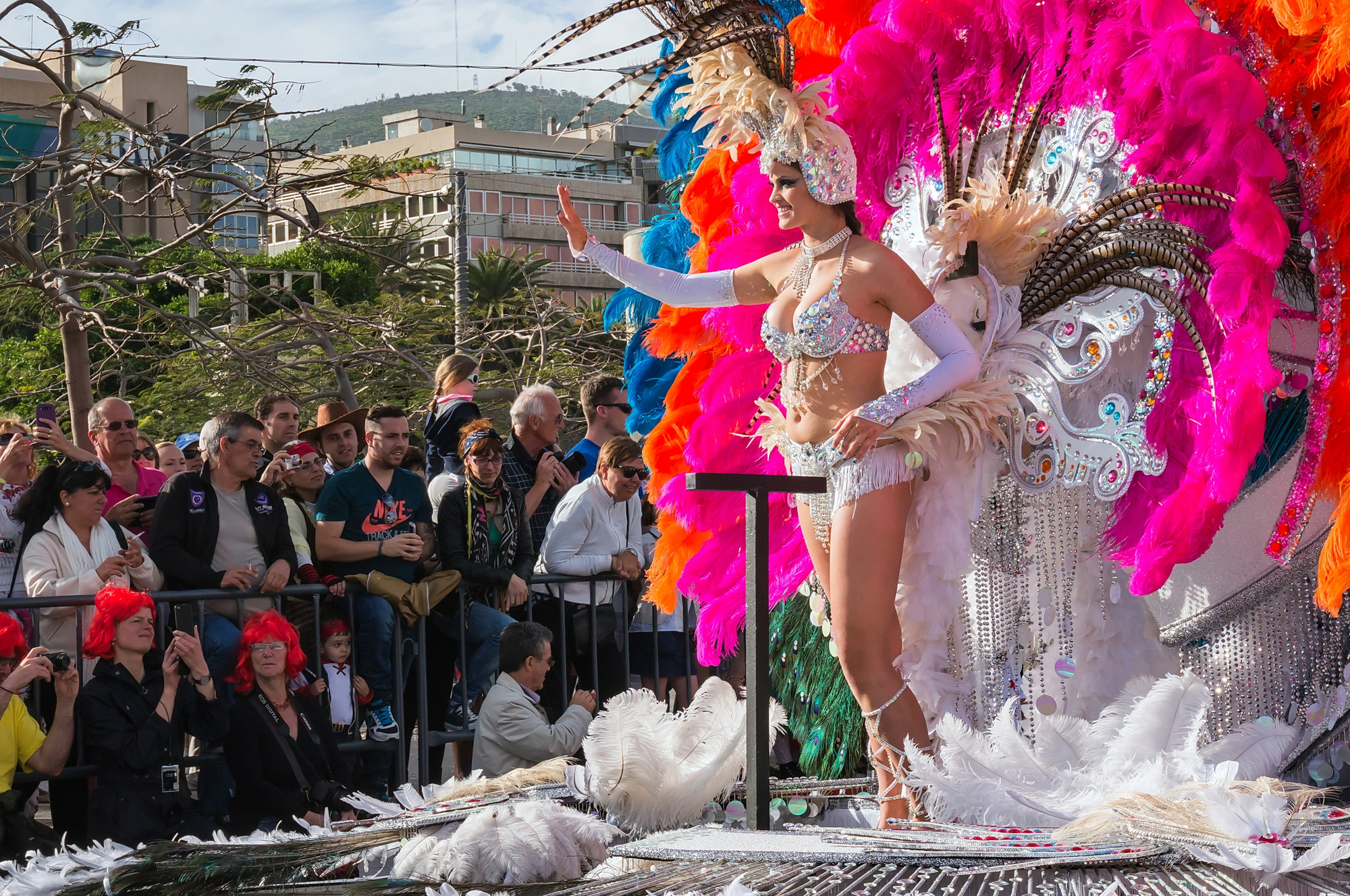 Carnevale di Santa Cruz de Tenerife