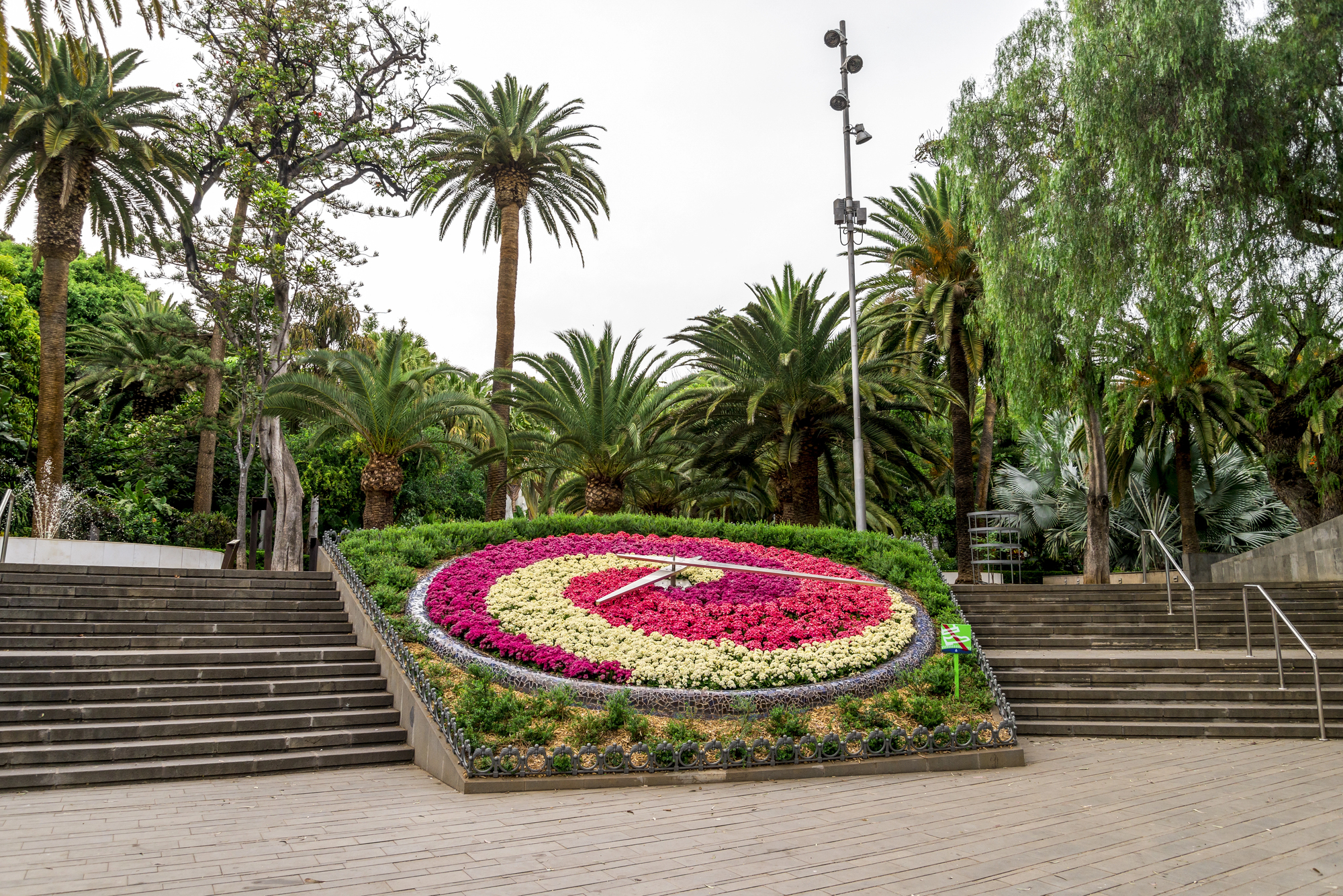 Parco Garcia Sanabria santa cruz de tenerife
