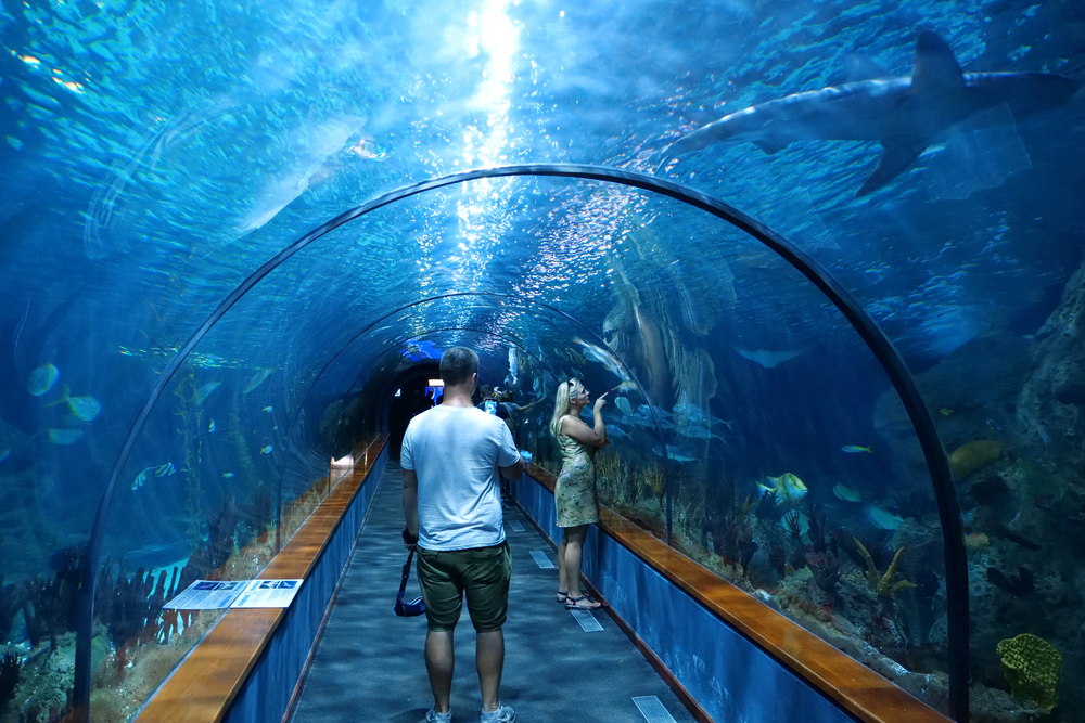 acquario loro parque tenerife