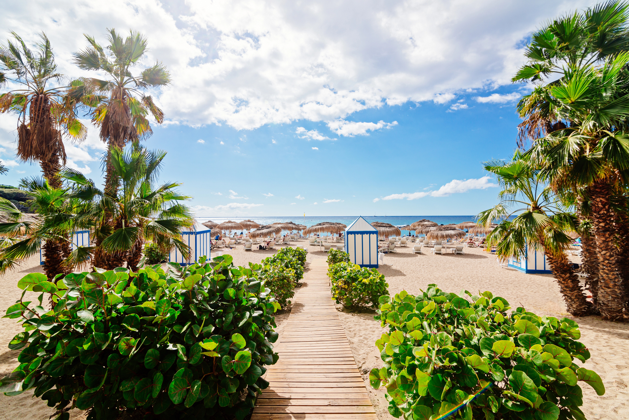 cosa vedere costa adeje tenerife
