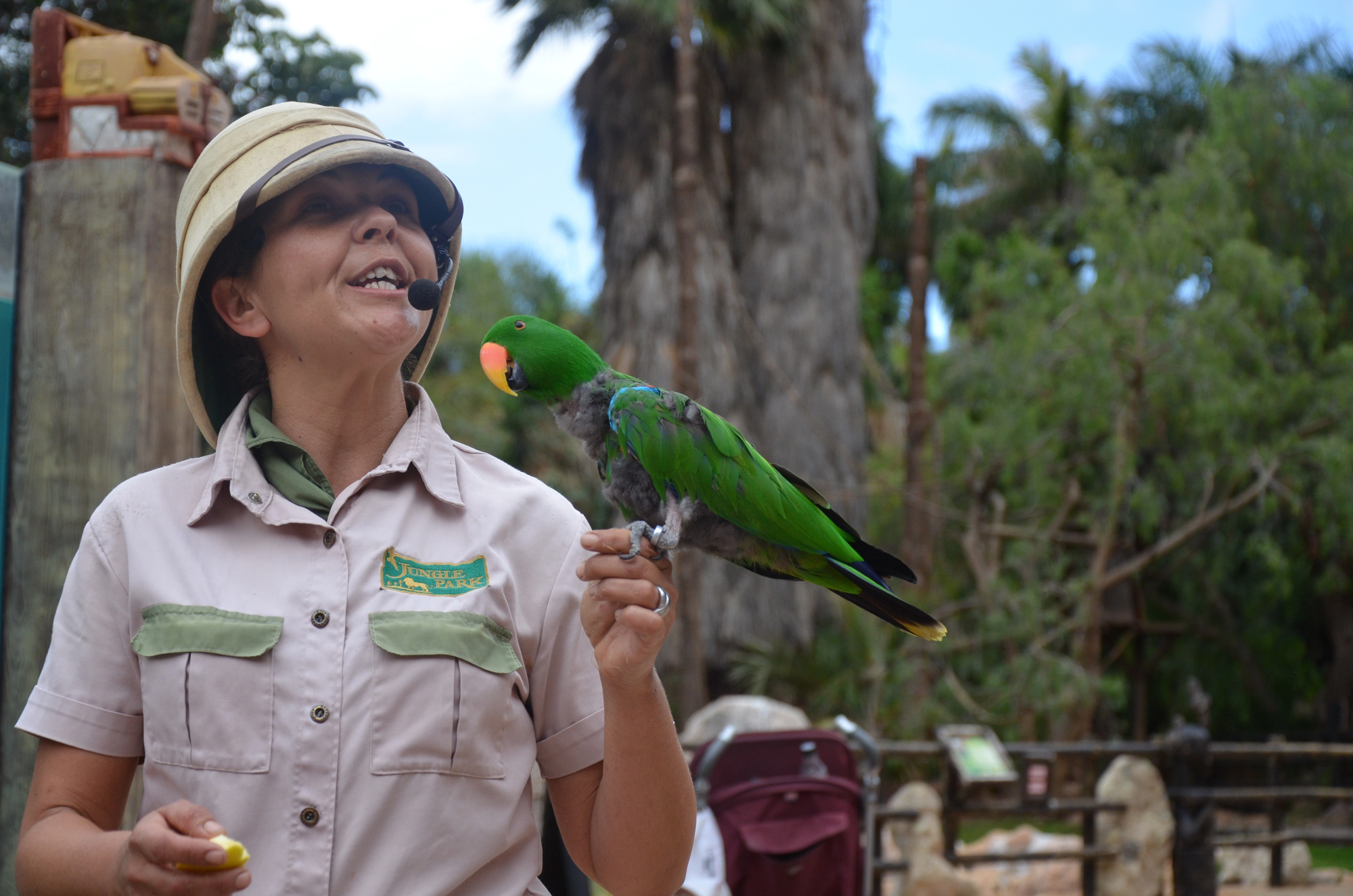 loro parque tenerife