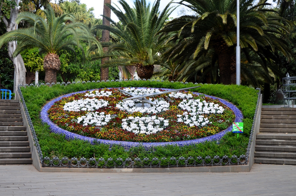 orologio fiori parque garcia sanabria santa cruz tenerife