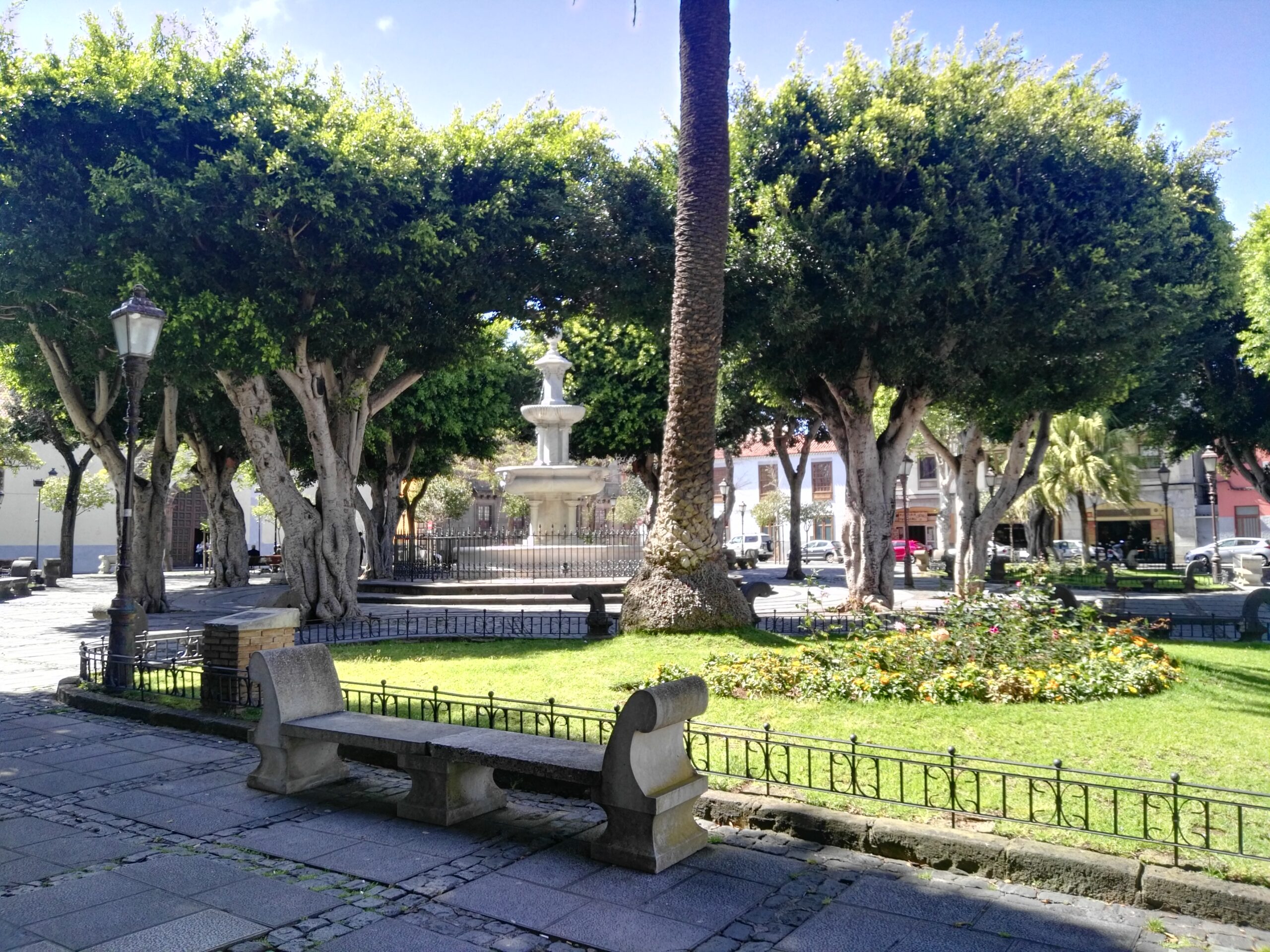 plaza del adelantado la laguna tenerife scaled