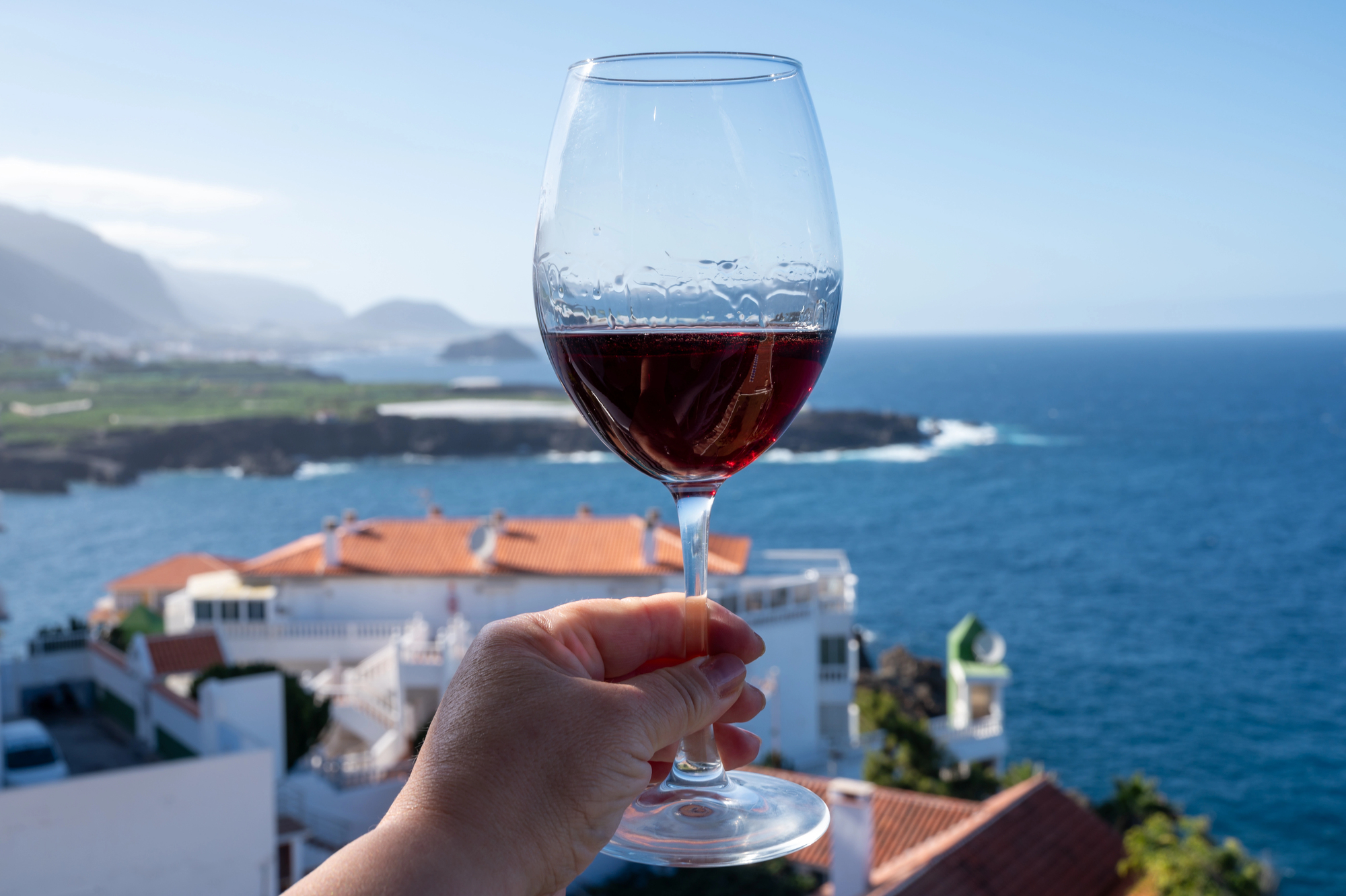 vini di tenerife